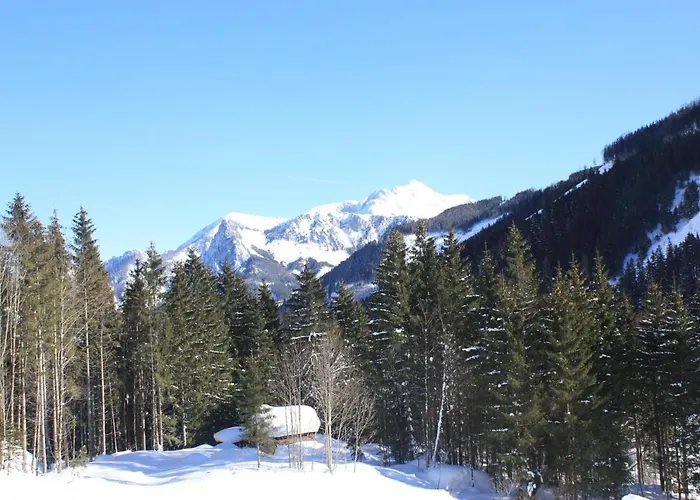 Blockhuette Radmer Chalet *